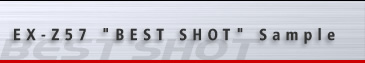 BestShot Sample