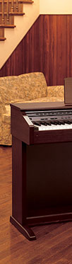 AP-45 - CELVIANO Digital Pianos - Electronic Musical Instruments