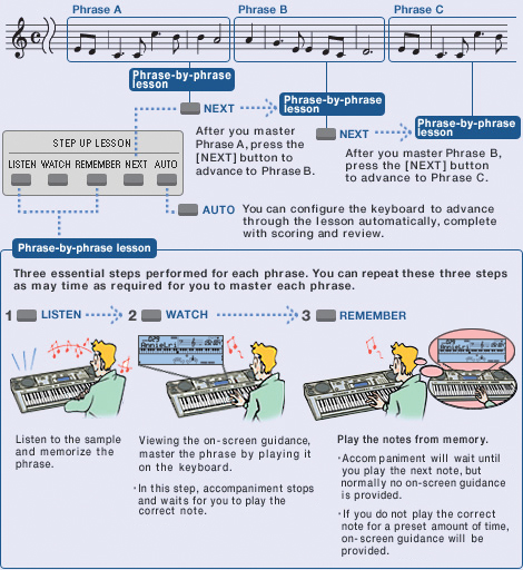 Step Up Lesson