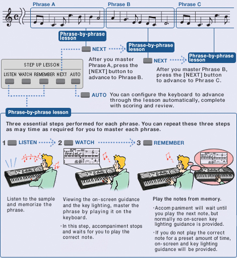 Step Up Lesson