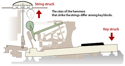 The sizes of the hammers that strike the strings differ among key blocks.