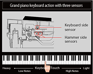 Keyboard for realistic acoustic touch and improved play of successive notes