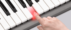 Lição em três etapas: siga as luzes no teclado para dominar a arte de tocar no seu próprio ritmo.