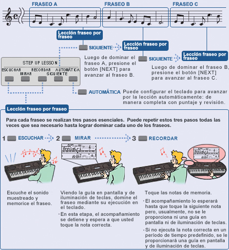 - Teclados estándar - Instrumentos musicales electrónicos -
