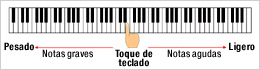 Teclado para una pulsación realista de piano acústico y toque mejorado de notas consecutivas