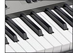 Piano-Style Keyboard and Touch Response